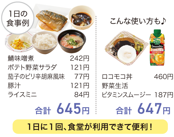 Bライトプラン650-食事例