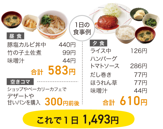 Cフルサポートプラン1500-食事例
