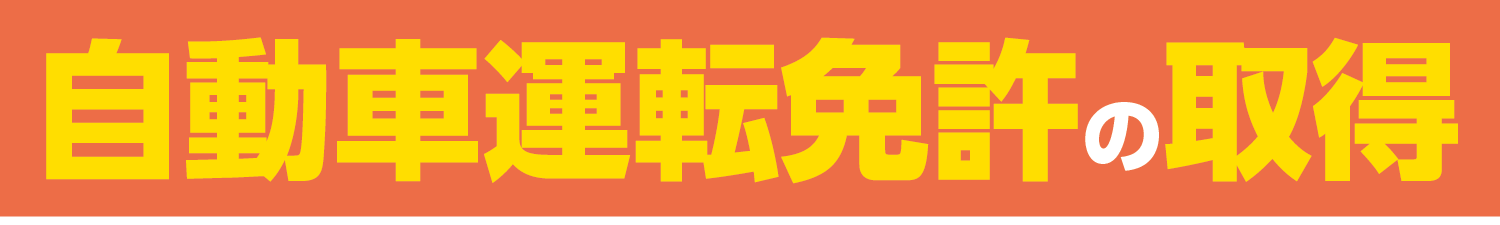 ほとんどの方が1、2年次生の間に免許を取得